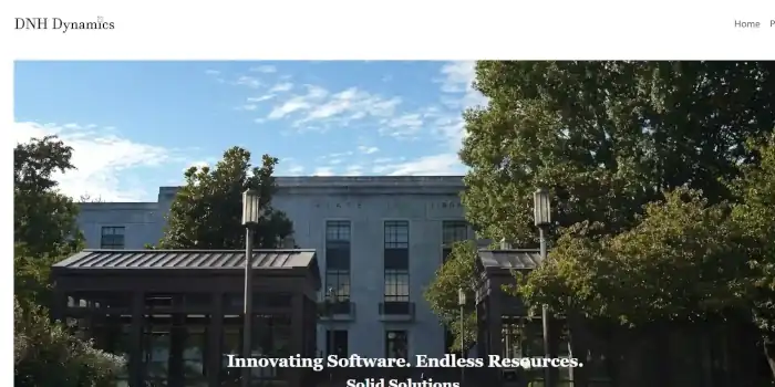 Photo of DNH Dynamics Website