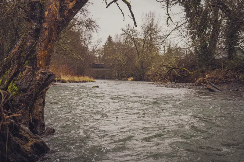 Photo of a creek at Dallas City Park, with a bridge in the background.