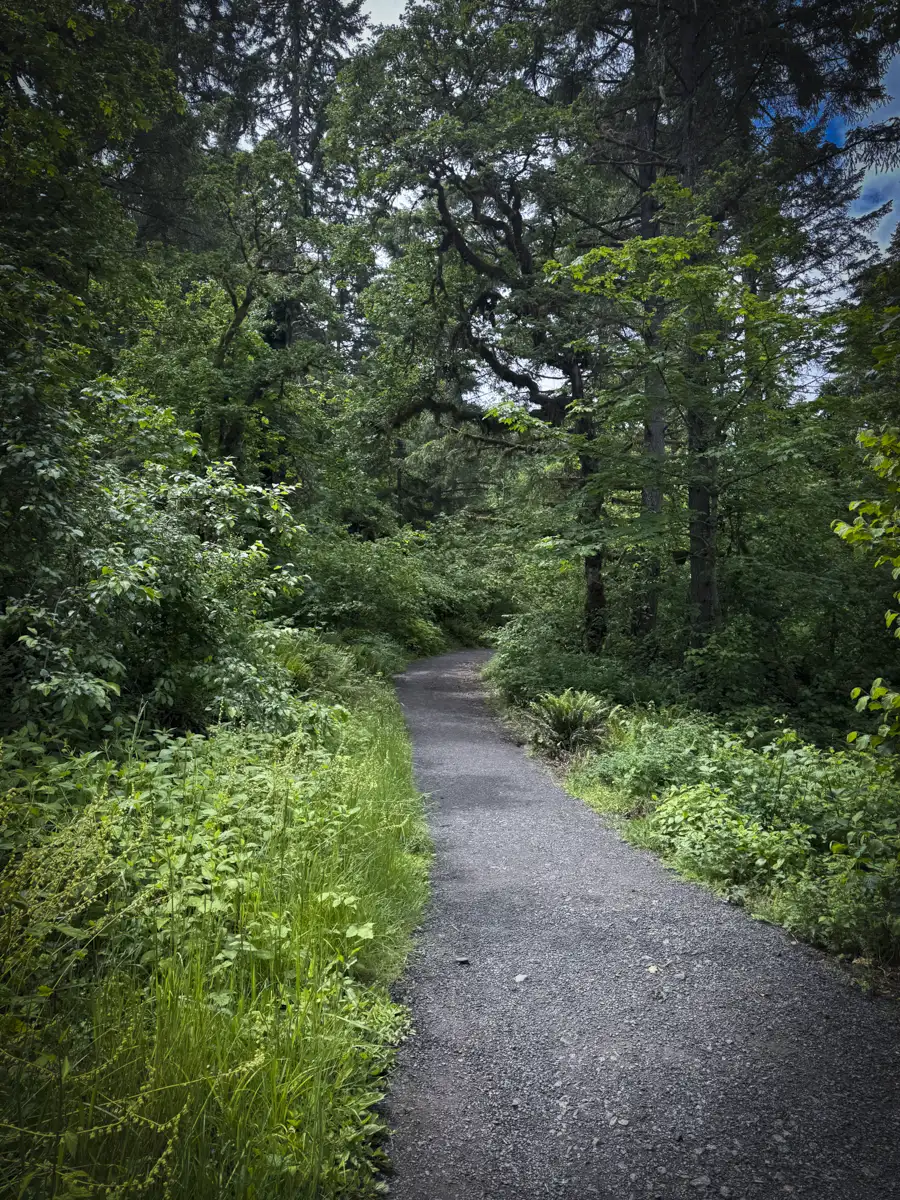 Nature photo taken in Thurston Hills Natural Area